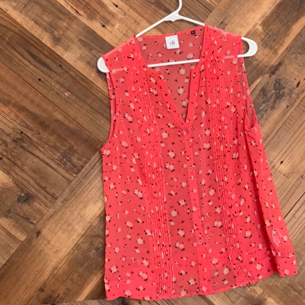 CAbi sheer sleeveless blouse.